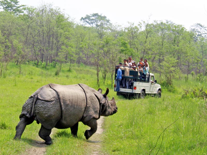 GORAKHPUR TO CHITWAN NATIONAL PARK
